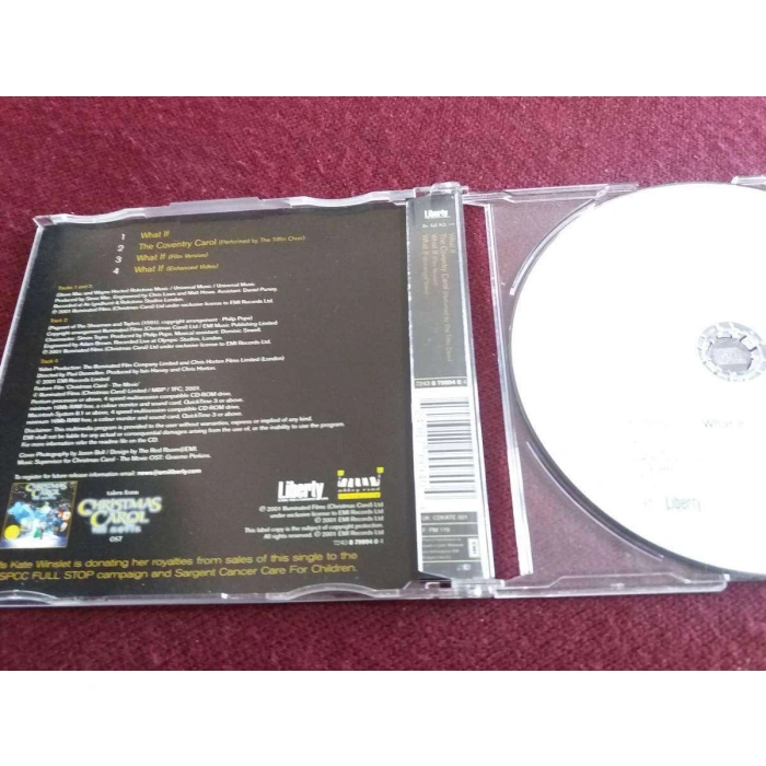 KATE WINSLET WHAT IF MAXI