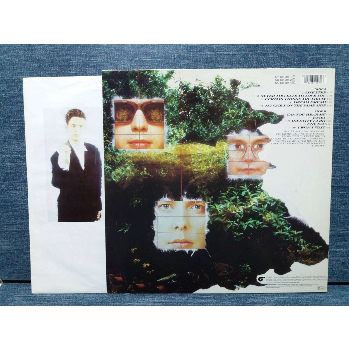 KISSING THE PINK CERTAIN THINGS ARE LIKELY