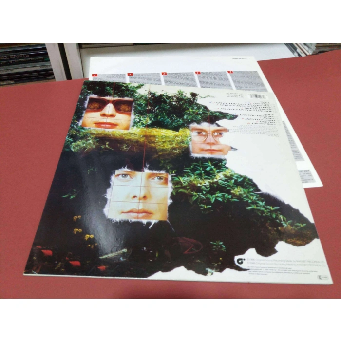 KISSING THE PINK CERTAIN THINGS ARE LIKELY