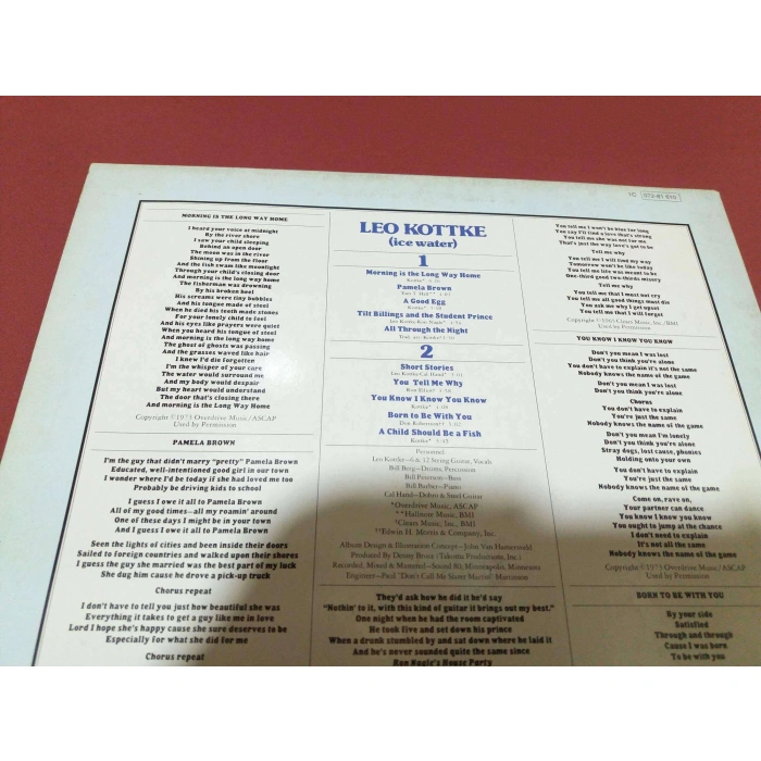 LEO KOTTKE ICE WATER