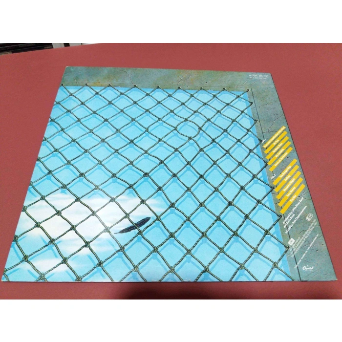 LITTLE RIVER BAND THE NET