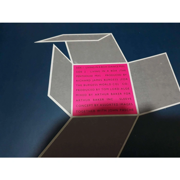 LIVING IN A BOX  MAXI LP