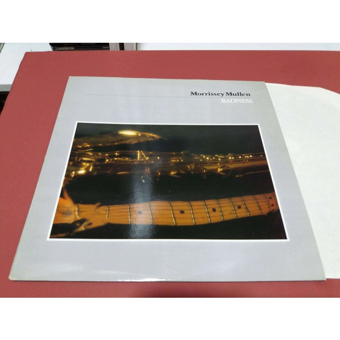 MORRISSEY MULLEN BADNESS