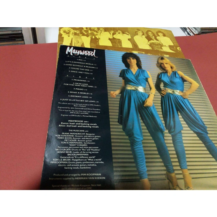 MY WOOD DIFFERENT WORLDS