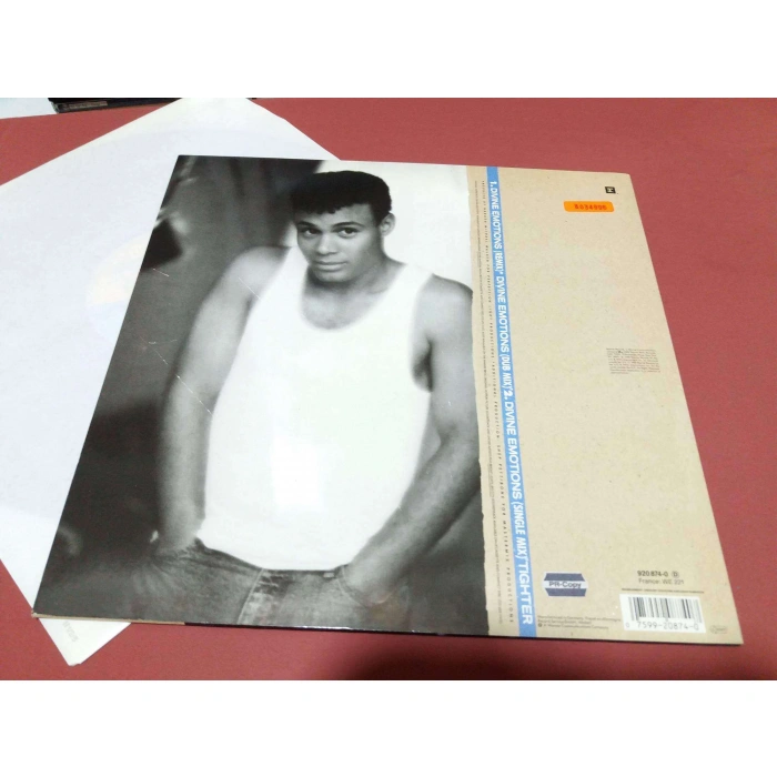 NARADA DIVINE EMOTIONS MAXI LP