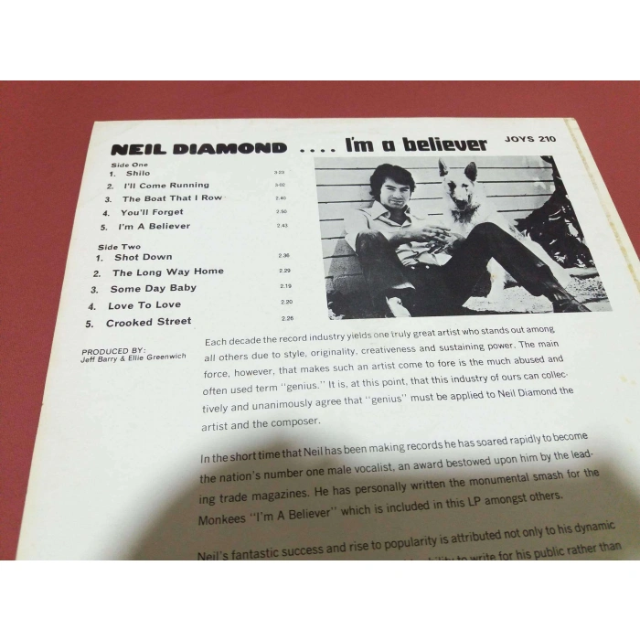 NEIL DIAMOND IM A BELIEVER