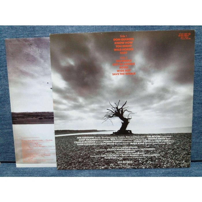 NIK KERSHAW THE RIDDLE