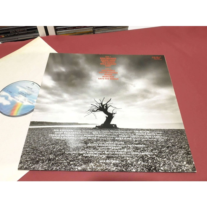 NIK KERSHAW THE RIDDLE