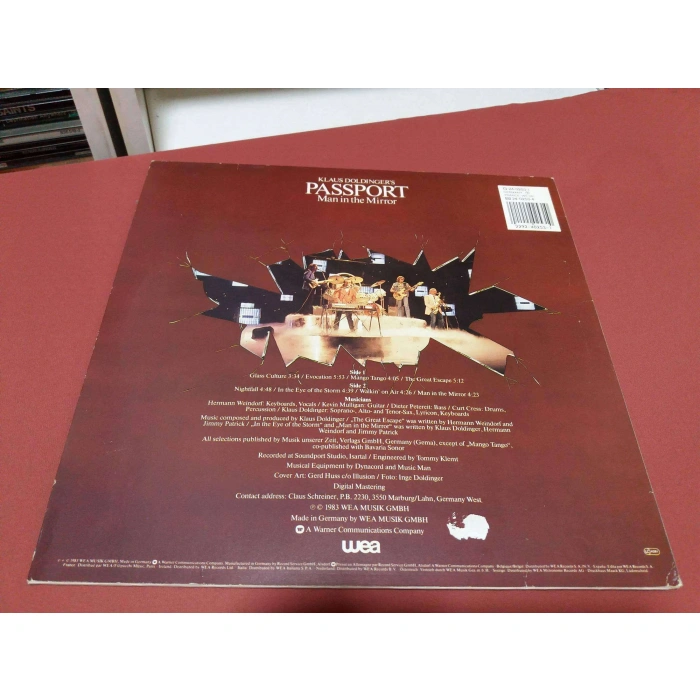 PASSPORT MAN IN THE MIRROR