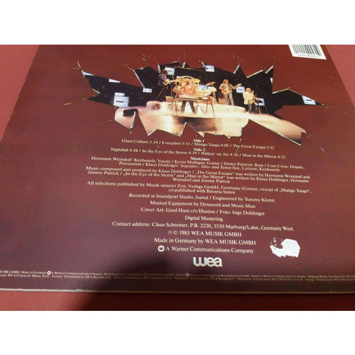 PASSPORT MAN IN THE MIRROR