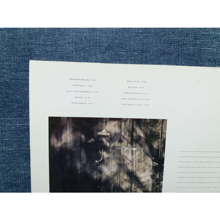 PATRICK OHEARN RIVERS GONNA RISE