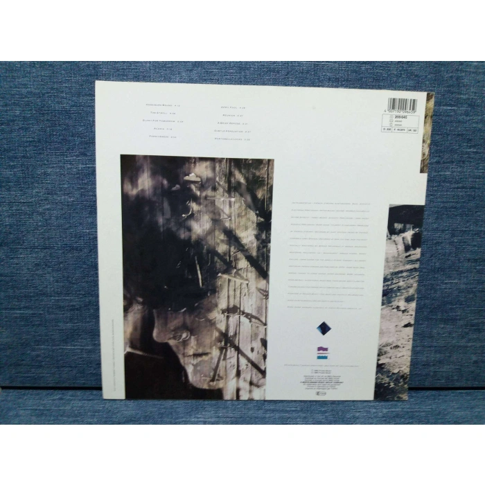 PATRICK OHEARN RIVERS GONNA RISE