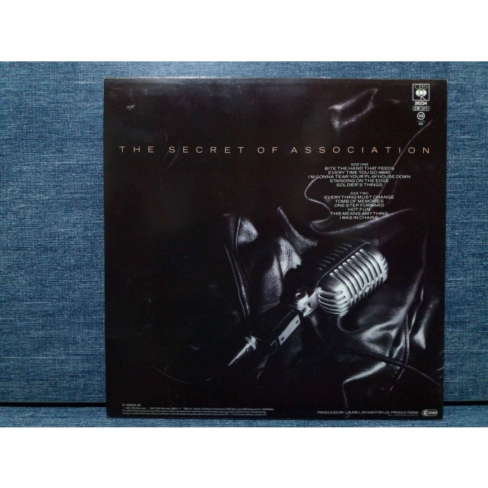 PAUL YOUNG THE SECRET OF ASSOCIATION