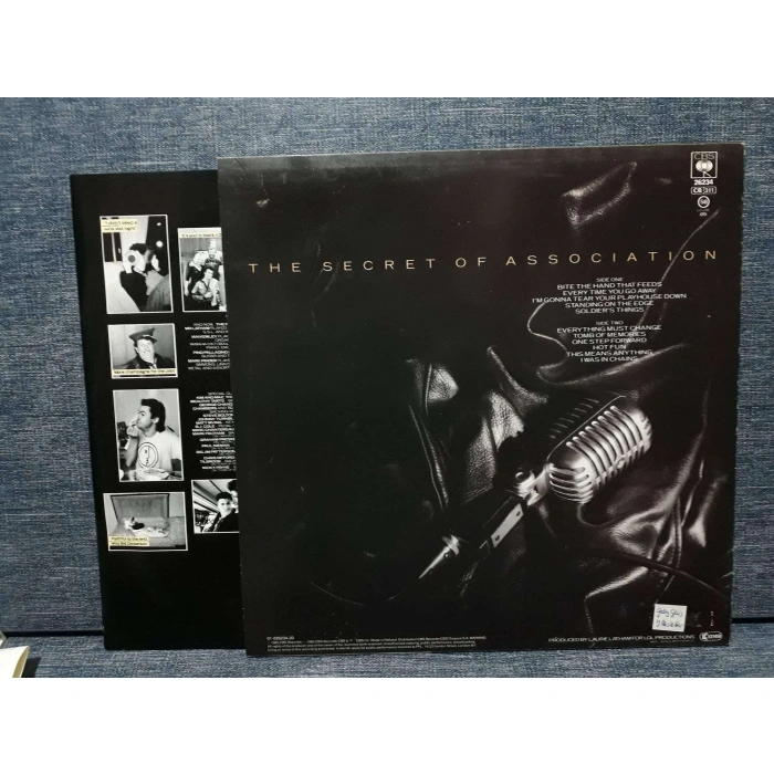 PAUL YOUNG THE SECRET OF ASSOCIATION