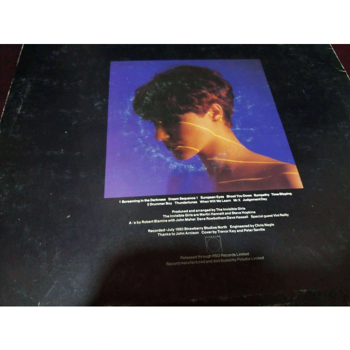 PAULINE MURRAY THE INVISIBLE GIRLS