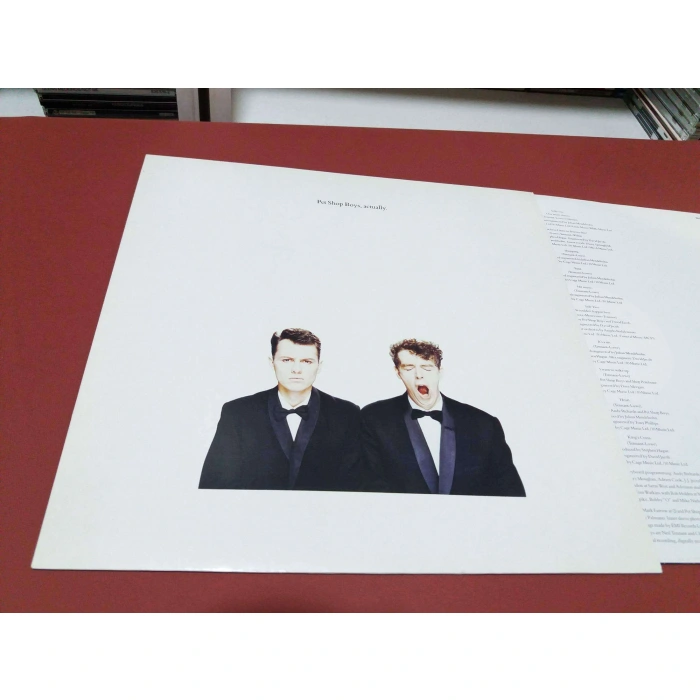 PET SHOP BOYS ACTUALLY