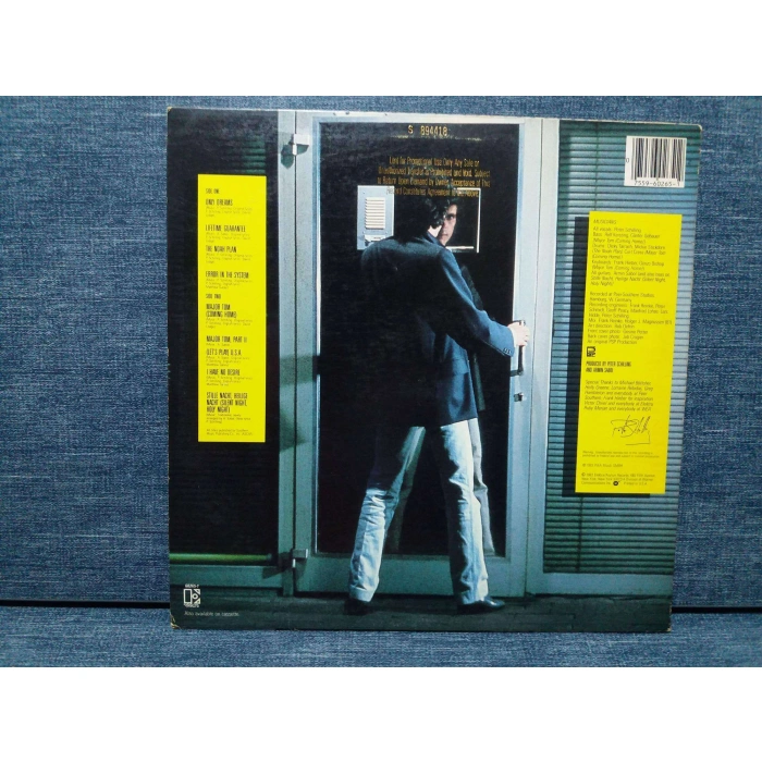 PETER SCHILLING ERROR IN THE SYSTEM