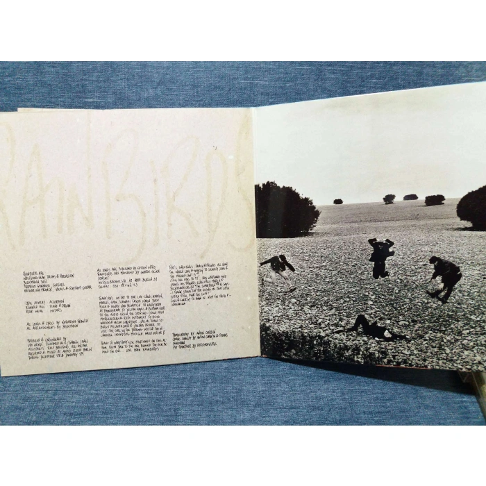 RAINBIRDS CALL ME EASY STRONG