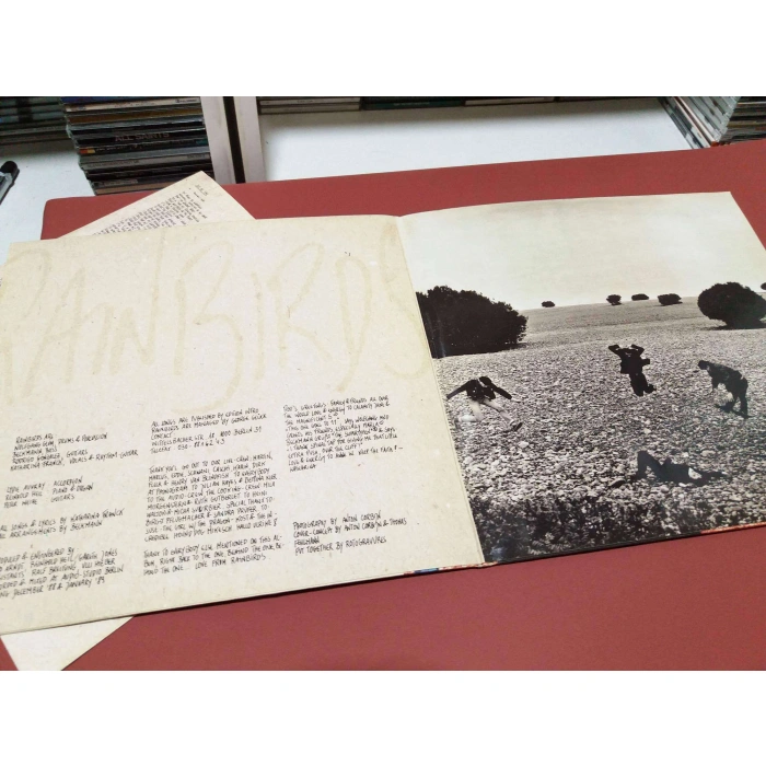 RAINBIRDS CALL ME EASY STRONG