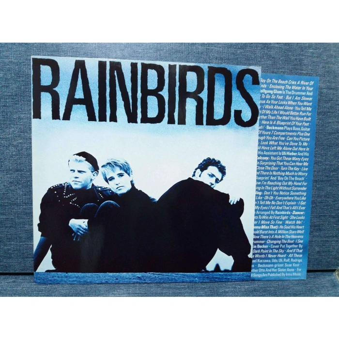 RAINBIRDS LP ALBUM
