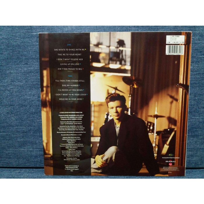 RICK ASTLEY HOLD ME IN YOUR ARMS