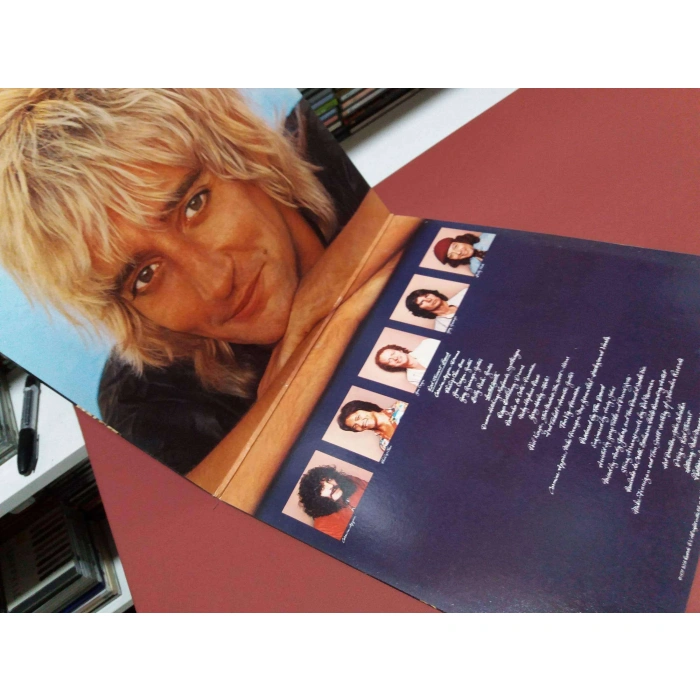 ROD STEWART BLONDES HAVE MORE FUN