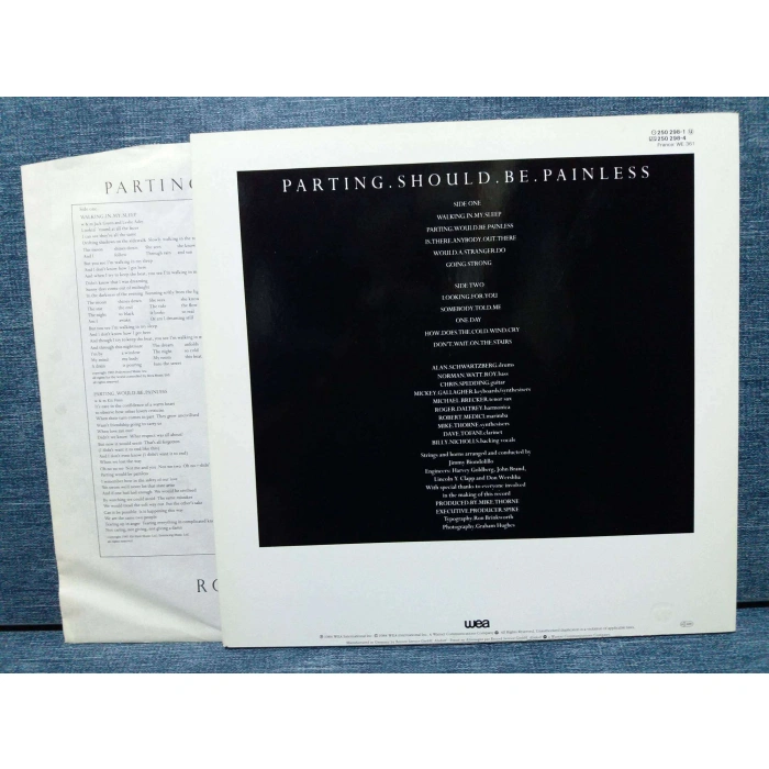 ROGER DALTREY PARTING SHOULD BE PAINLESS