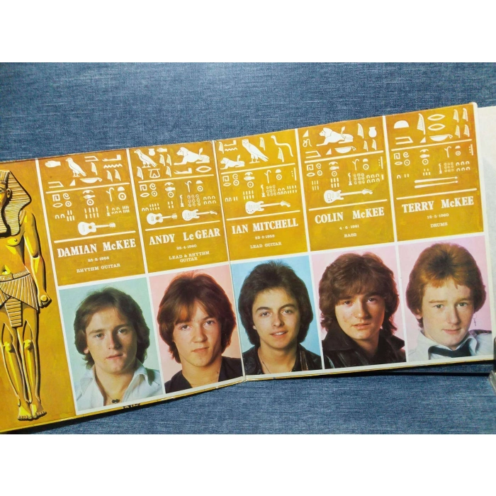 ROSETTA STONE ROCK PICTURES