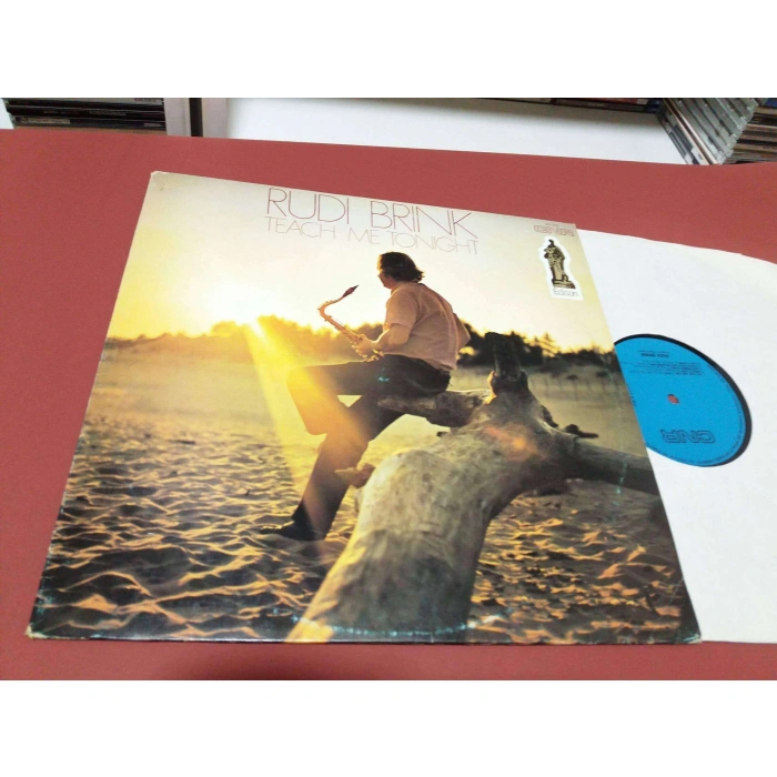 RUDI BRINK TEACH ME TONIGHT