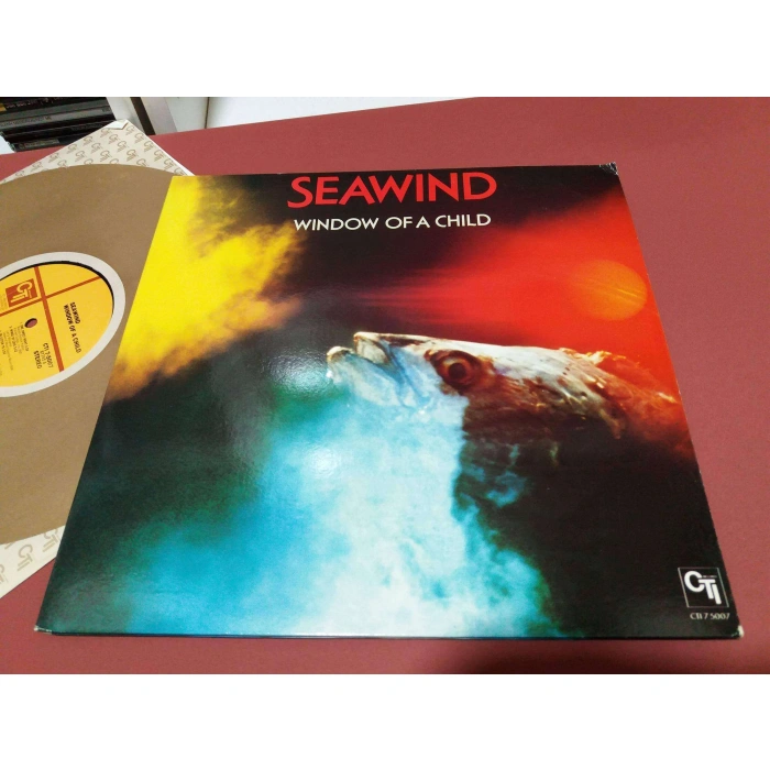 SEAWIND WINDOW OF A CHILD