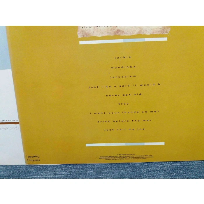 SINEAD OCONNOR LION AND COBRA