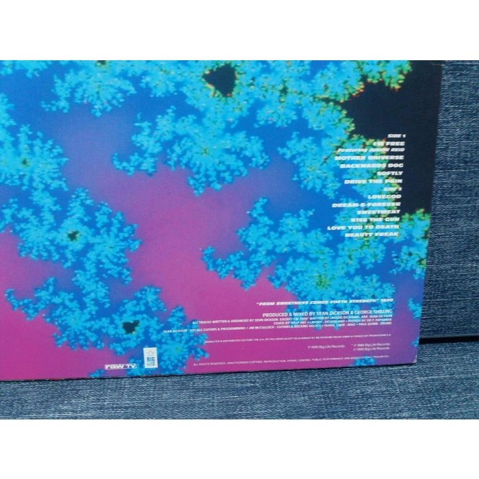 SOUP DRAGONS LOVEGOD