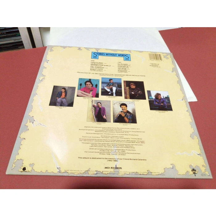 SPYRO GYRA STORIES WITHOUT WORDS