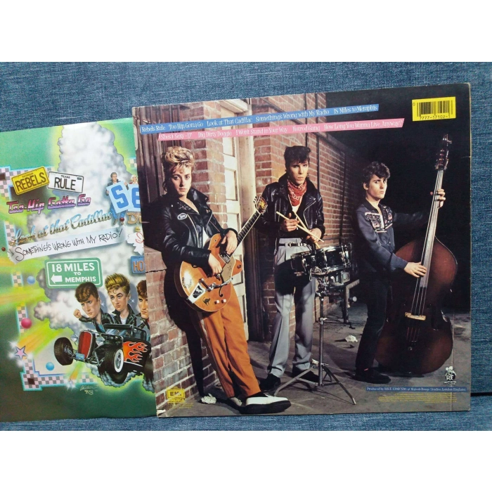 STRAY CATS RANT N RAVE