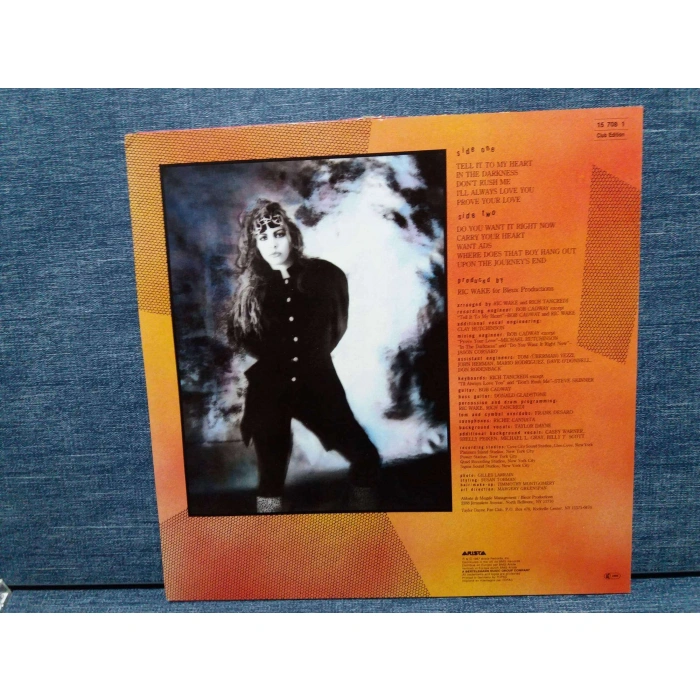 TAYLOR DAYNE TELL IT TO MY HEART