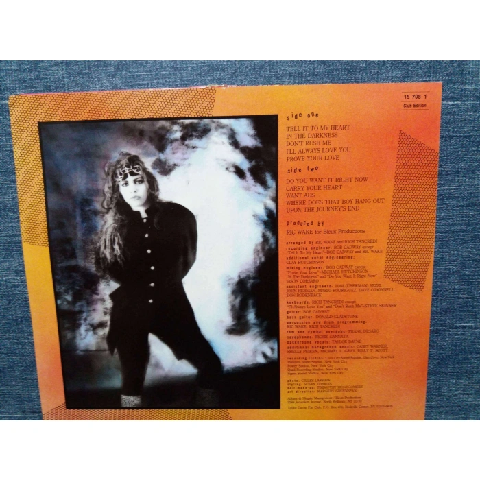 TAYLOR DAYNE TELL IT TO MY HEART