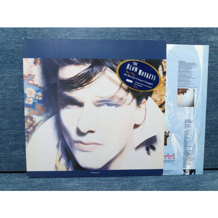 THE BLOW MONKEYS SHE WAS ONLY A GROCERS