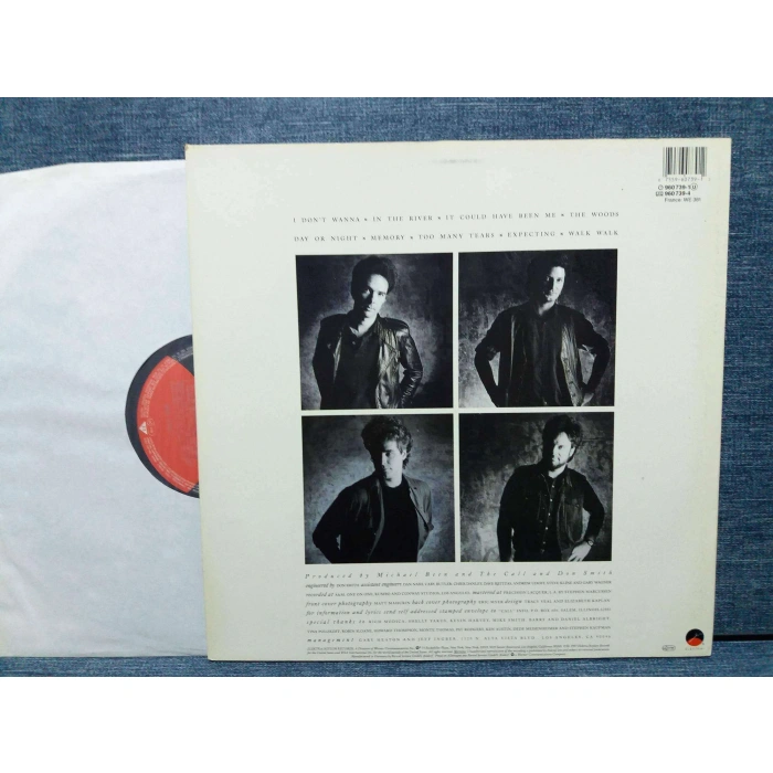 THE CALL INTO THE WOODS