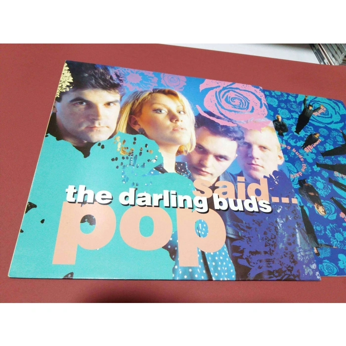 THE DARLING BUDS SAID