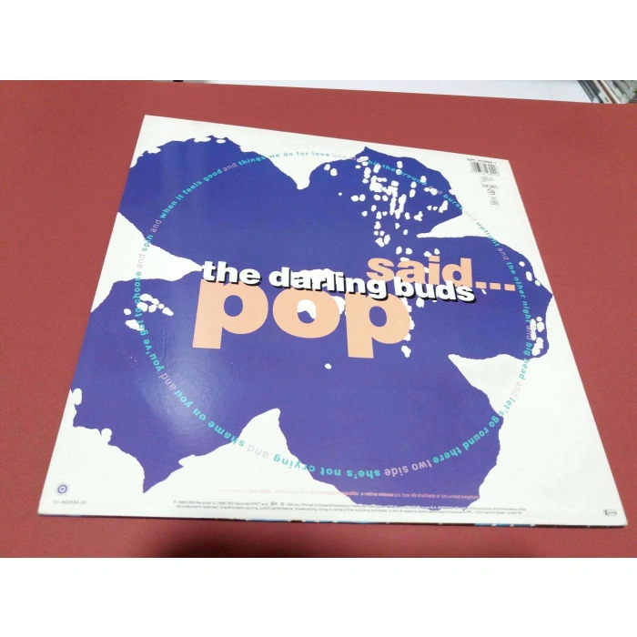 THE DARLING BUDS SAID