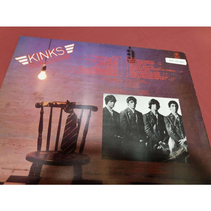 THE KINKS YOU REALLY GOT ME