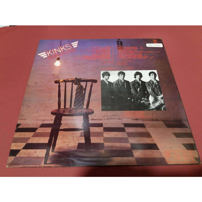 THE KINKS YOU REALLY GOT ME