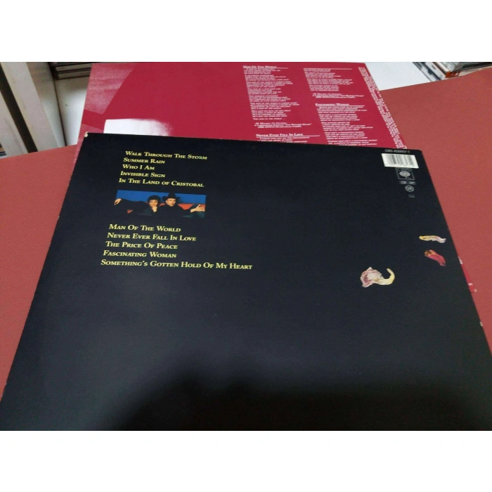 THE WINDOW SPEAKS HEARTLAND