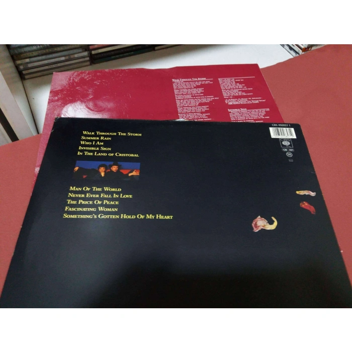 THE WINDOW SPEAKS HEARTLAND