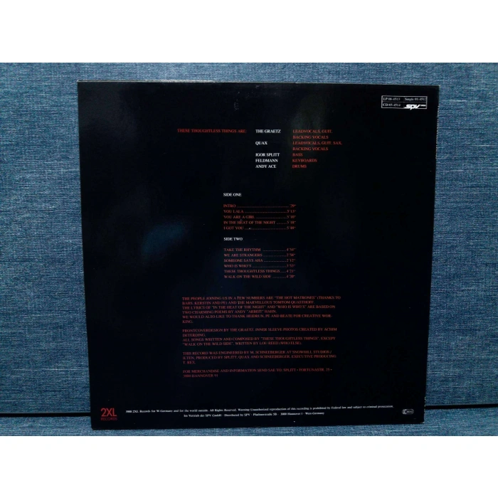 THESE THOUGHTLESS THINGS