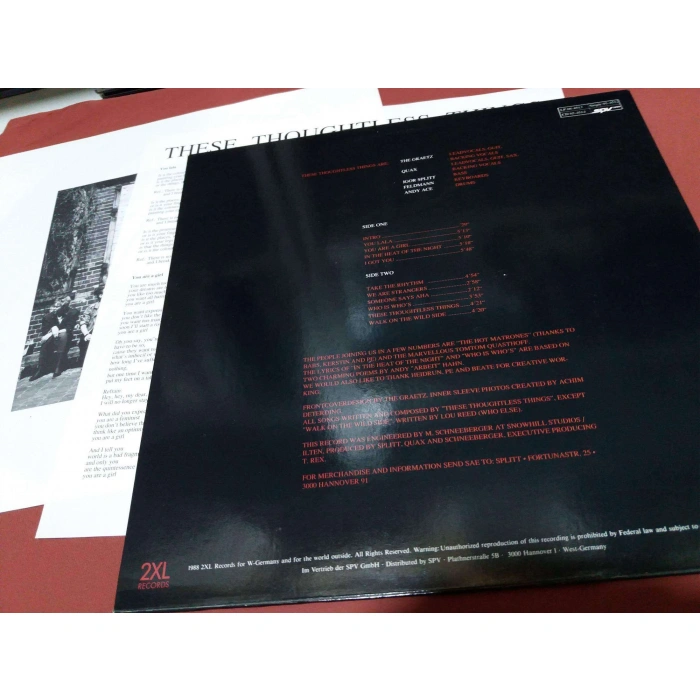 THESE THOUGHTLESS THINGS