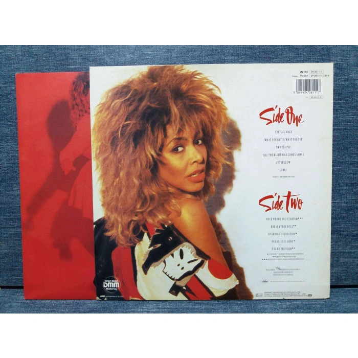 TINA TURNER BREAK EVERLY RULE