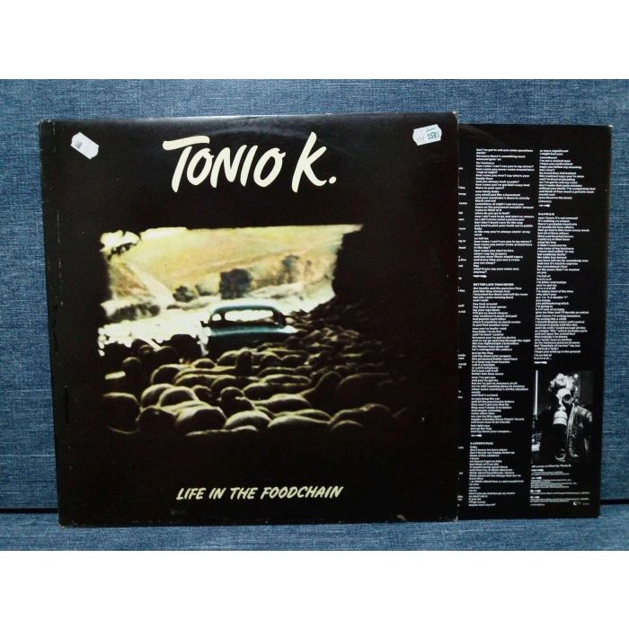 TONIO K LIFE IN THE FOODCHAIN