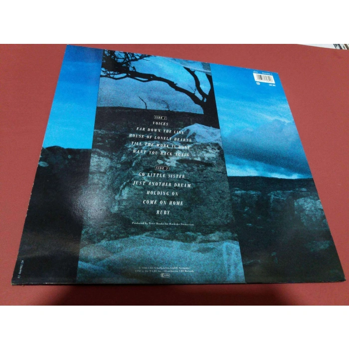 VISION FIELDS VOICES