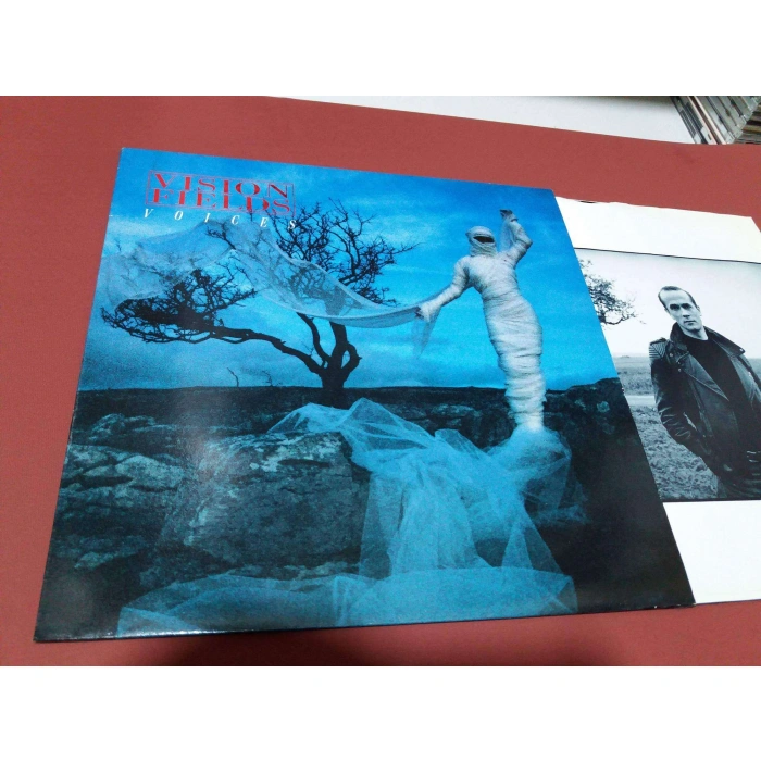 VISION FIELDS VOICES